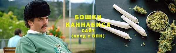 стаф Покачи