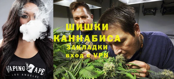 стаф Покачи