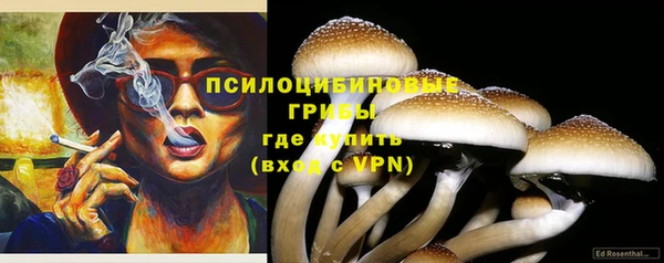 стаф Покачи